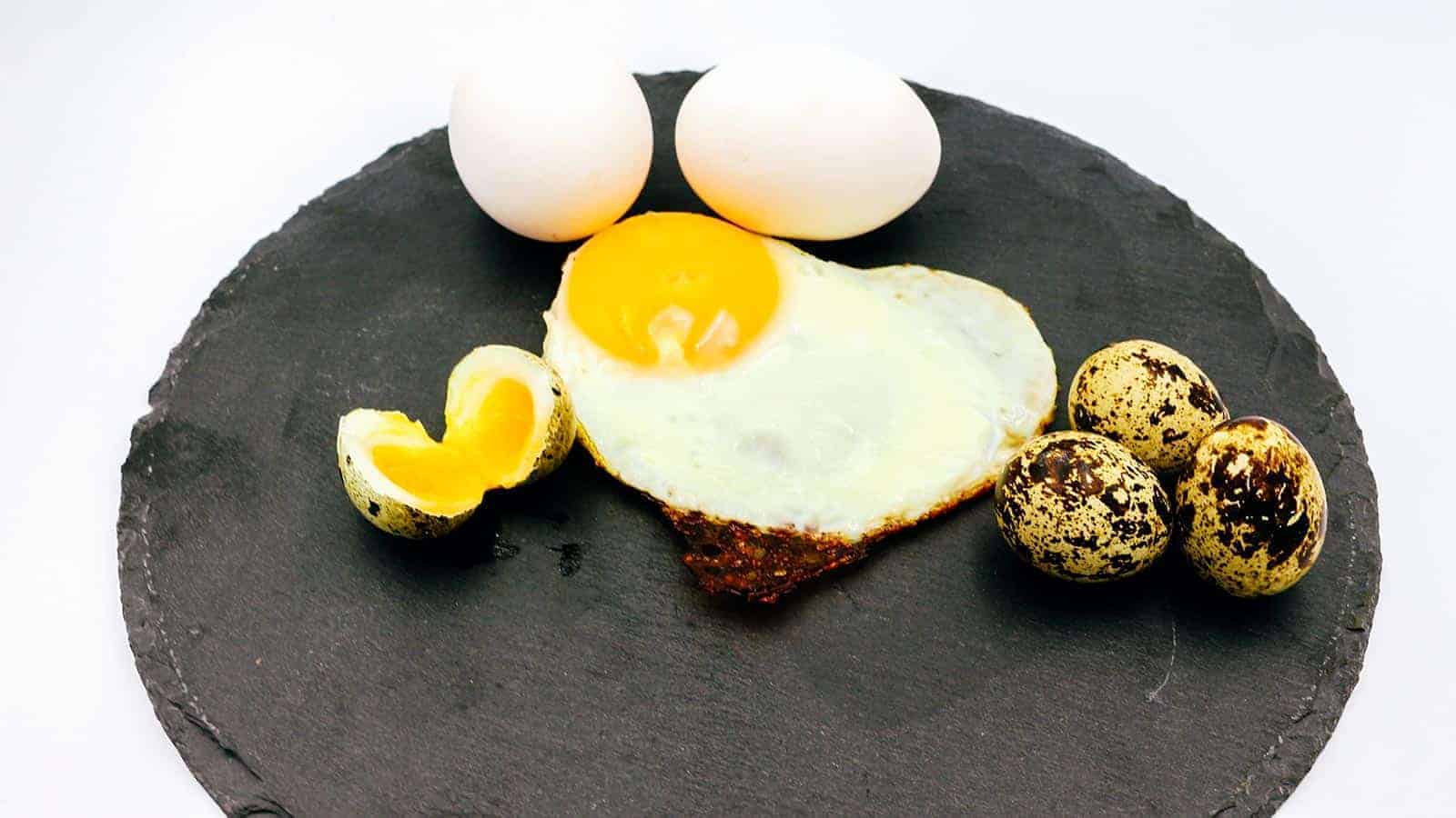 Eier in der Fütterung, Dürfen Hunde Eier Fressen?, Eier füttern, Hühnerei im Futter, Darf die Schale mitgegessen werden, Hund gesund ernähren
