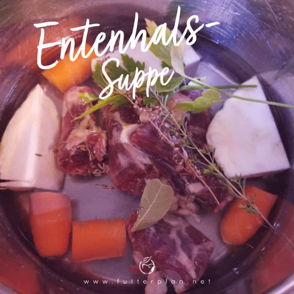 GourmetBrühe für den Hund EntenhalsSuppe